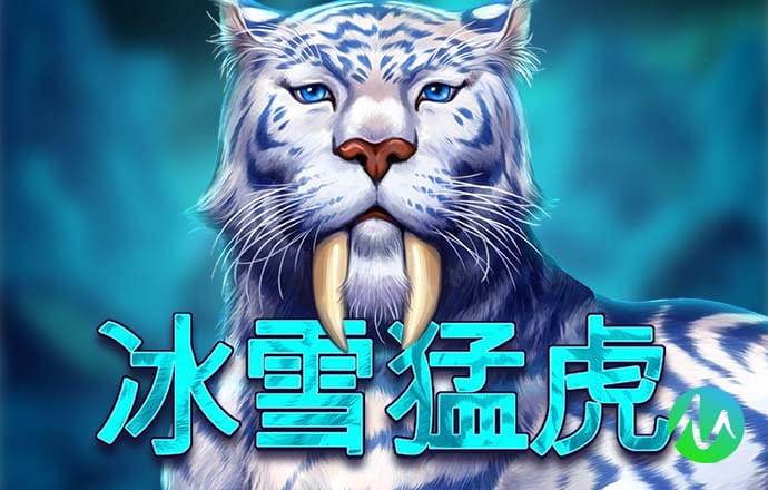 一码一肖100准打开码结果
